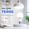 Đèn LED búp tròn RLBU-5W 3 130d0bae 6b0a 4d78 8530 a67121ea304e