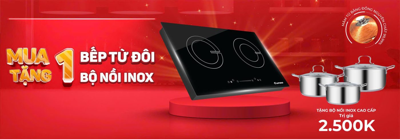 Bếp từ Rapido