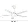 Quạt trần Rapido RCF-5W AL56 1 Quạt trần Rapido RCF-5W AL56