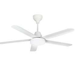 Quạt trần Rapido RCF-5W AL56