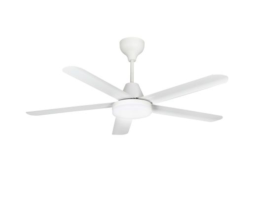 Quạt trần Rapido RCF-5W AL56 