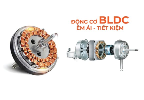 Quạt trần Rapido RCF-5W A56 7 Động cơ BLDC