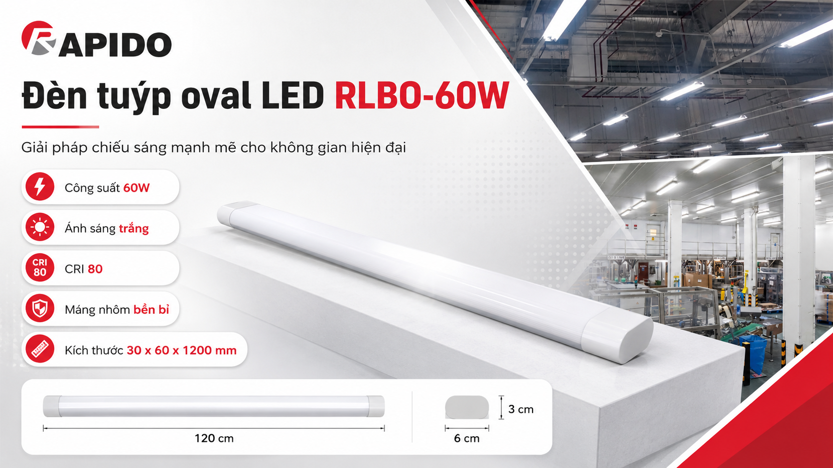 Đèn tuýp oval LED RLBO-60W 12 Đèn tuýp oval LED RLBO-60W