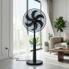 Quạt Đứng Rapido RWF-50SBD-1 điều khiển từ xa 15 Pedestal fan in living room 202605121515