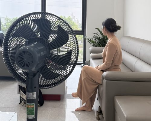 Quạt điện Rapido