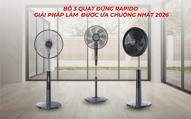 bộ 3 Quạt đứng Rapido