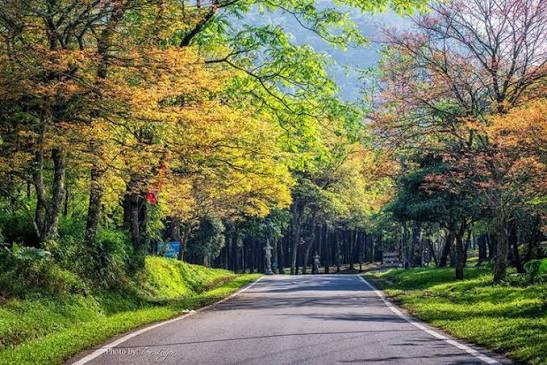 TOP 10 ĐỊA ĐIỂM DU LỊCH CHO DOANH NGHIỆP TẠI MIỀN BẮC: LỰA CHỌN HOÀN HẢO CHO HOẠT ĐỘNG TEAM BUILDING VÀ NGHỈ DƯỠNG 3 Vườn Quốc Gia Ba Vì (Hà Nội)