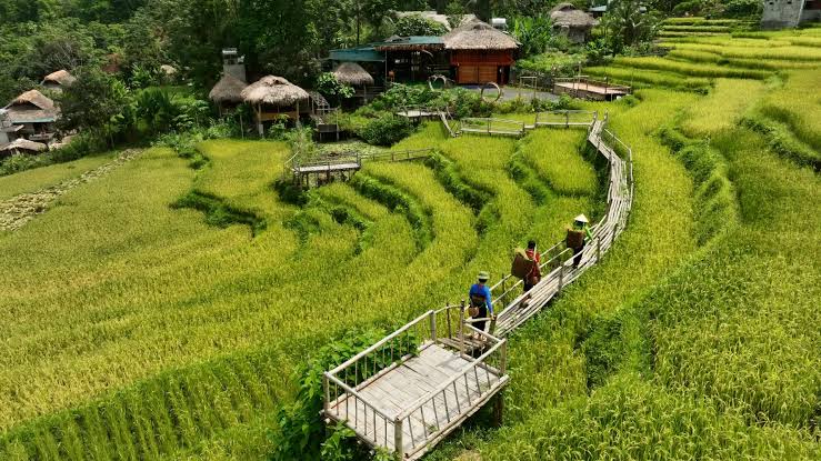 TOP 10 ĐỊA ĐIỂM DU LỊCH CHO DOANH NGHIỆP TẠI MIỀN BẮC: LỰA CHỌN HOÀN HẢO CHO HOẠT ĐỘNG TEAM BUILDING VÀ NGHỈ DƯỠNG 8 Mai Châu (Hòa Bình
